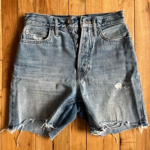 Everlane Denim Shorts